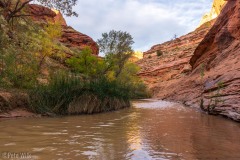 The trail winds through the canyon it has cut and the sand is constantly changing the exact placement of the trail.