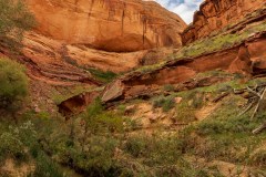 One of the things that makes this hike so spectacular is the contrasts between the rock and the greenery.