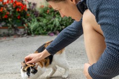 Croatia has the most friendly street cats!  I have many, many more pictures of them.