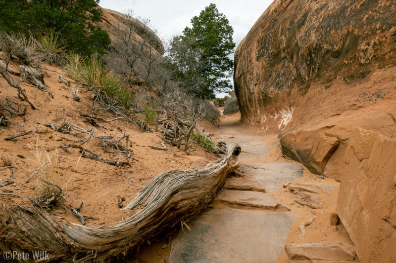 Devil's Garden trail is really nice for seeing a bunch of different types, sizes, and shapes of arches.