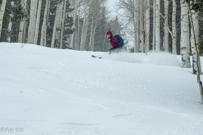 We descended the lift line which is a narrow straight cut down the hill.  The lift poles and lines have been removed.