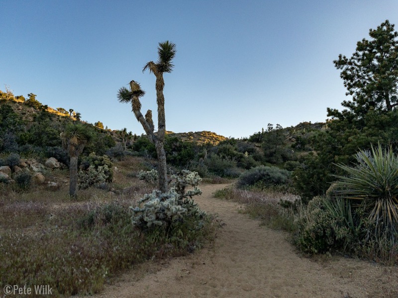 Beautiful evening for a trail run on a great trail from Black Rock Campground.