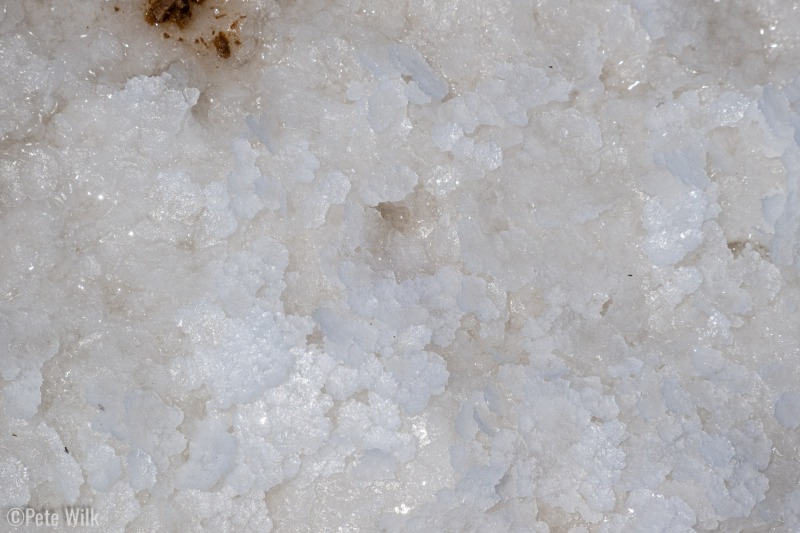 Detail of Salt in Lake Manly.