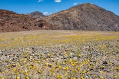 The geology of Death Valley is rugged.  The cliffs surrounding it rise thousands of feet from Badwater Basin in the most rugged and broken fashion.