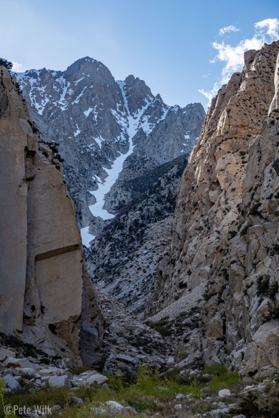 Rad looking 6,000 ft couloir in Pine Creek from Broken Finger Peak.