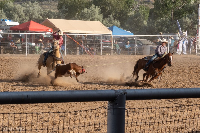 At the Ten Sleep Rodeo they had a bunch of events, including tandem calf roping where the the second cowboy is trying to rope the back legs of the calf.  The sucess ratio was small.  The accuracy and timing to do the second roping was impressive.