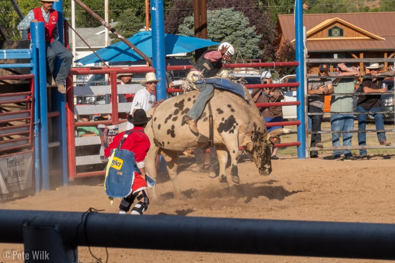 Always the crowd favorite, bull riding.